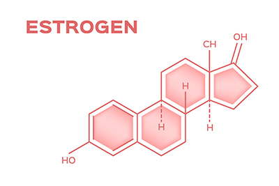 Estrogen, Estradiol and Estriol