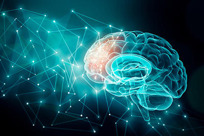 Geroscience and the Effects of Aging
