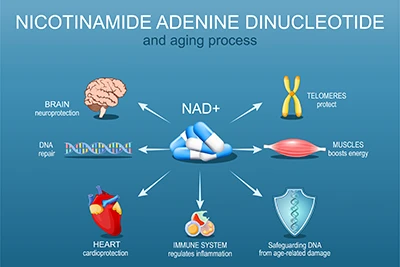 NAD+ Therapy in Torrance, CA